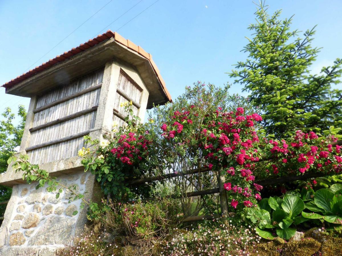 Casa Da Eira Velha Βίλα Vale de Cambra Εξωτερικό φωτογραφία