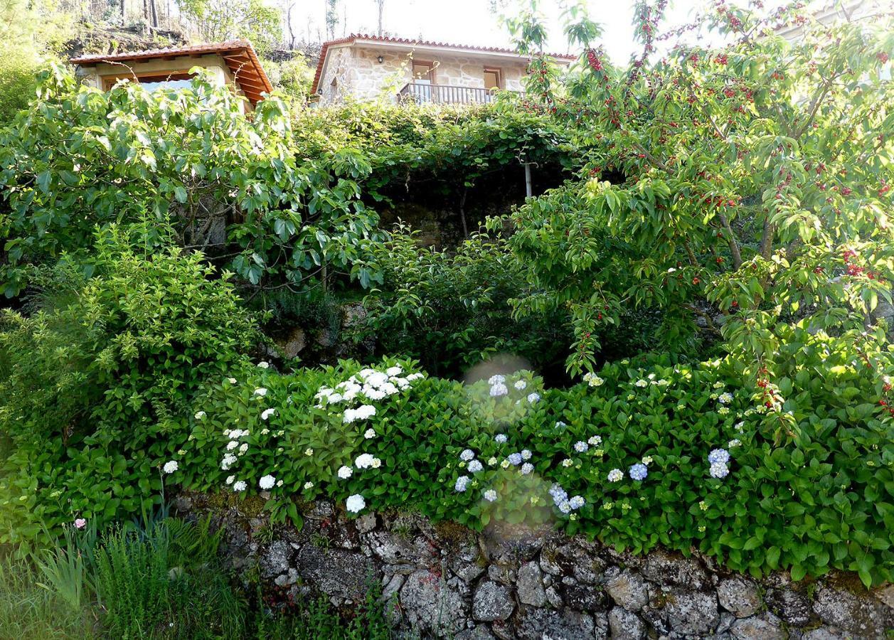 Casa Da Eira Velha Βίλα Vale de Cambra Εξωτερικό φωτογραφία